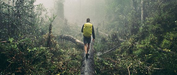 Mees matkab reisil uduses vihmametsas renditud seljakotiga, millel vihmakate peal